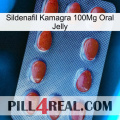 Sildenafil Kamagra 100Mg Oral Jelly 06